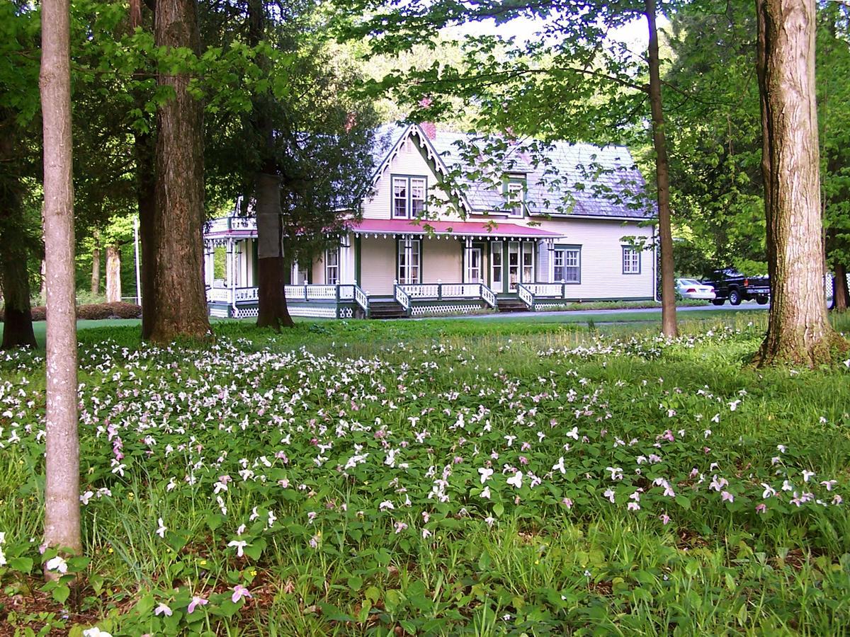 Dreamhouse Country Inn Bristol Екстериор снимка
